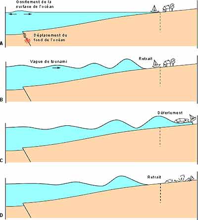 Description : tsunami engendré par un soulèvement du fond marin causé par un séisme © Pierre-André Bourque et Université de Laval, 1997-2004