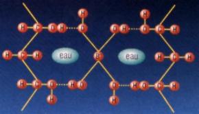 Principe d'emprisonnement des molécules d'eau